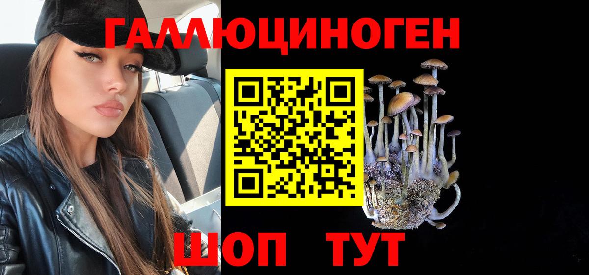 Псилоцибиновые грибы Magic Shrooms Калининград