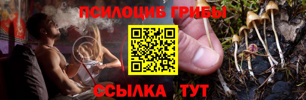 Калининград  Псилоцибиновые грибы Psilocybine cubensis  Псилоцибиновые грибы Magic Shrooms  Вход с VPN 